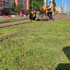 Nowe zielone torowisko we Wrocławiu  Autor: Wrocławskie Inwestycje