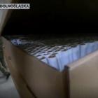 Kontrterroryści weszli do nielegalnej fabryki papierosów [FILM]  Autor: Policja...