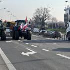 zdjęcie nr 11