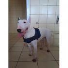 zdjęcie nr 7