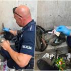 fot. Policja Dolnośląska 