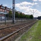 zdjęcie nr 15