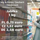 zdjęcie nr 11