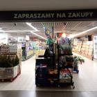 zdjęcie nr 7