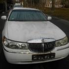 Lincoln z Zimowej  Autor: Straż Miejska Wrocławia