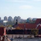 zdjęcie nr 10