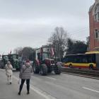 zdjęcie nr 47