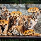   Autor: Zoo Wrocław