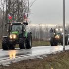 zdjęcie nr 9