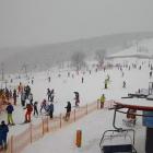 fot. Zieleniec Sport Arena