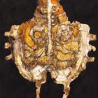 zdjęcie nr 9
