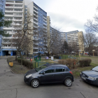 zdjęcie nr 8