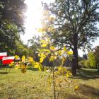 zdjęcie nr 8