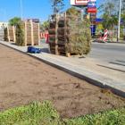 Nowe zielone torowisko we Wrocławiu  Autor: Wrocławskie Inwestycje