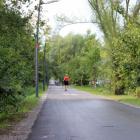 zdjęcie nr 16
