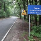 zdjęcie nr 7