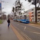 zdjęcie nr 8