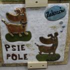 zdjęcie nr 23