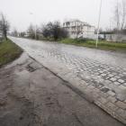 zdjęcie nr 16