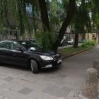 zdjęcie nr 36