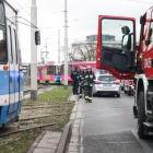 zdjęcie nr 14