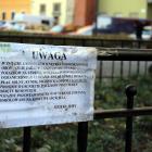 zdjęcie nr 17