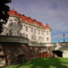 zdjęcie nr 7