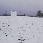 zdjęcie nr 55