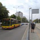 zdjęcie nr 14