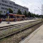 zdjęcie nr 8