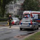 zdjęcie nr 9