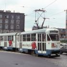 zdjęcie nr 8