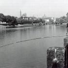 zdjęcie nr 13