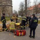  Autor: fot. Straż Miejska Wrocławia