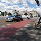 Kaczy spacer - plac Orląt Lwowskich, Wrocław  Autor: mgo