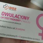 zdjęcie nr 12