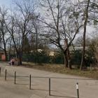 Na teren zoo wszedł prawdopodobnie przez ogrodzenie wzdłuż ulicy Andrzeja Wajdy, kilka...