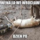  Zobacz kolejne memy na następnych slajdach 