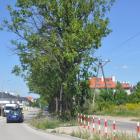 zdjęcie nr 16