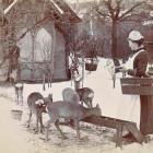 zoo 1895  Autor: fotopolska.eu