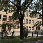 zdjęcie nr 6