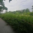 zdjęcie nr 8