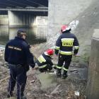   Autor: Straż Miejska Wrocławia