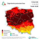 Fotka nr 2 z 3