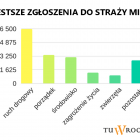 Fotka nr 2 z 5