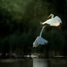III miejsce - 