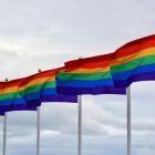 Tęczowa flaga - symbol środowisk LGBT  Autor: pixabay.com
