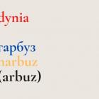 zdjęcie nr 10