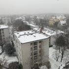 zdjęcie nr 2