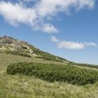 Łabski Szczyt ( Violík lub Labský štít,  Veilchenstein lub Veilchenspitze, 1471 m jest...